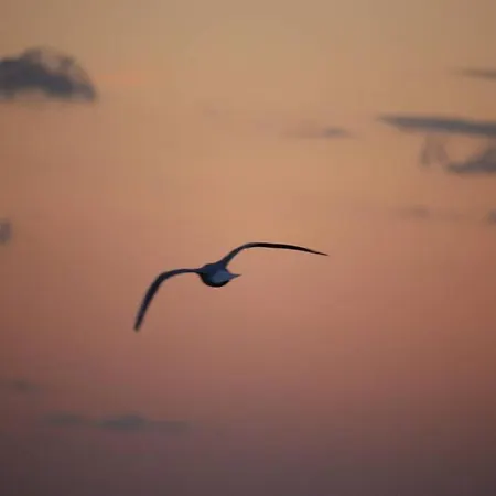 A Due Passi Dal Mare, Alba Adriatica Διαμέρισμα *